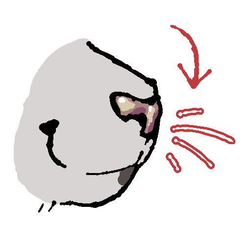 a white cat snout, facing the right. his whiskers are visible and he appears to be smiling. there is a red outline around his whiskers and an arrow pointing to them